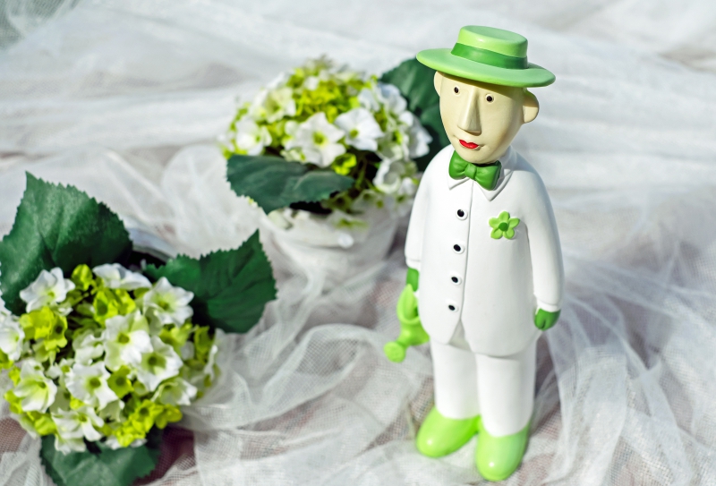 vente-UTELLE-min_man-person-flower-green-toy-fig-546529-pxhere.com